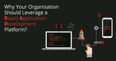 Why Your Organisation Should Leverage a RAD Platform?