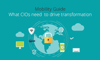 CIO - Mobility Guide