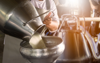 Dairy Management