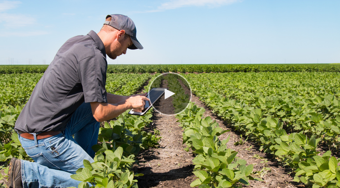 Digitizing Farming Experiences for Agribusinesses