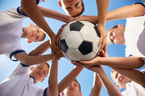 A Sports and Fitness App to Improve Trainer Management and Customer Experience